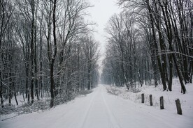 雪景             