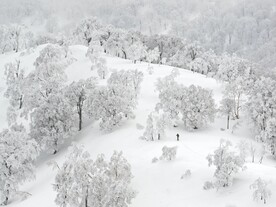 雪景             