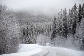 雪景             