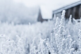 雪景             