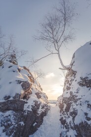 雪景             