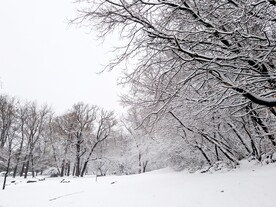 雪景             