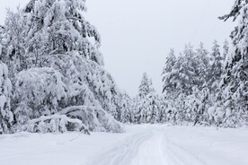 雪景             