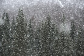 雪景             