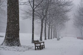 雪景             