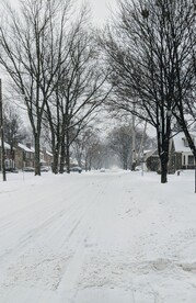 雪景             