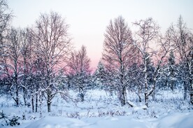 雪景             