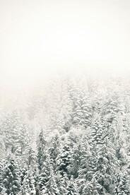 雪景             