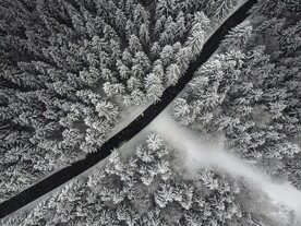 雪景             