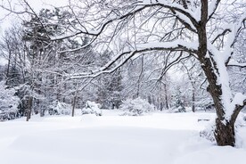 雪景             