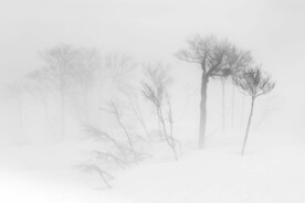 雪景             