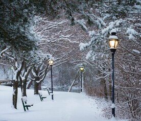 雪景             