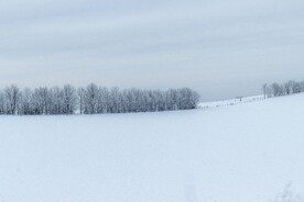 雪景             