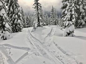 雪景             
