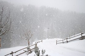 雪景             