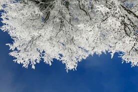 雪景             