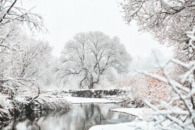 雪景             