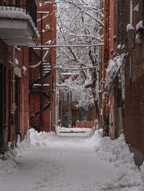 雪景             