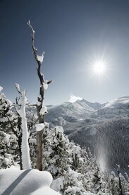 雪景             