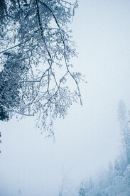 雪景             