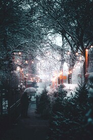 雪景             