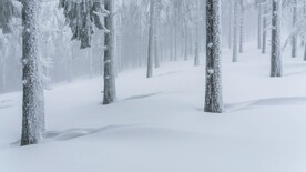 雪景             