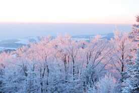 雪景             