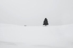 雪景             