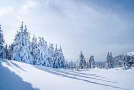 雪景             