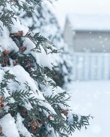 雪景             