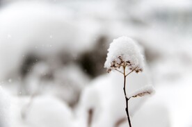 雪景             