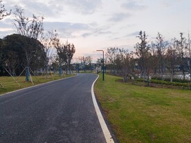 乡村公路路灯