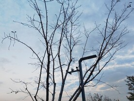 公路路灯