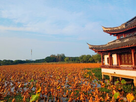 公园古建筑荷塘秋色