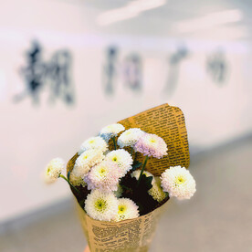 小菊花