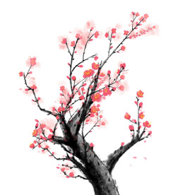 插画植物