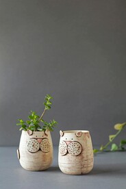 盆栽