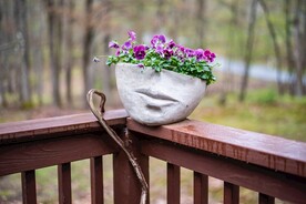 鲜花