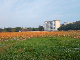 荷塘酒店公寓