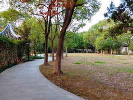 公园健身步道