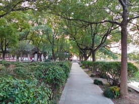 公园小路