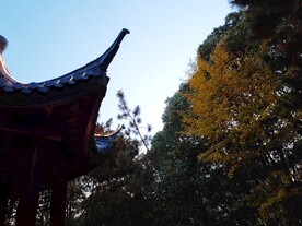 六角亭房檐