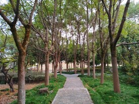 林间青石板路