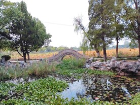 公园小石拱桥