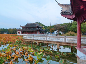 荷塘亭台楼阁