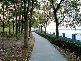 湖边小路