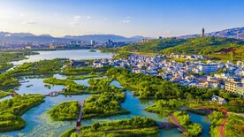 开远市 仁者村 凤凰湿地 航拍