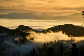 山中迷雾
