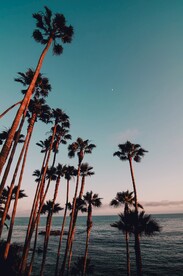 海边