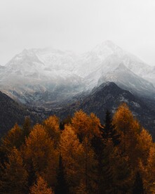 山中迷雾